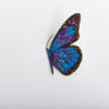 Invitación en forma de mariposa - 1